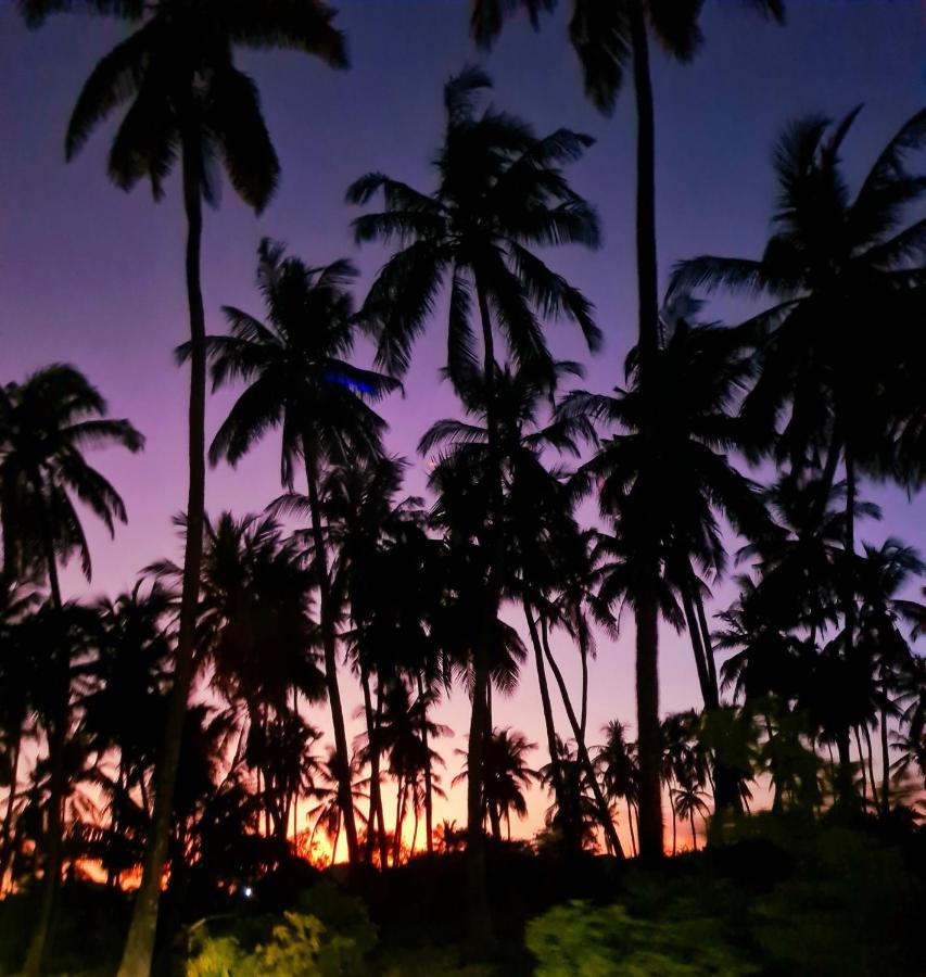 Beachfront Villa Ladha Ya Zanzibar Jambiani  Esterno foto