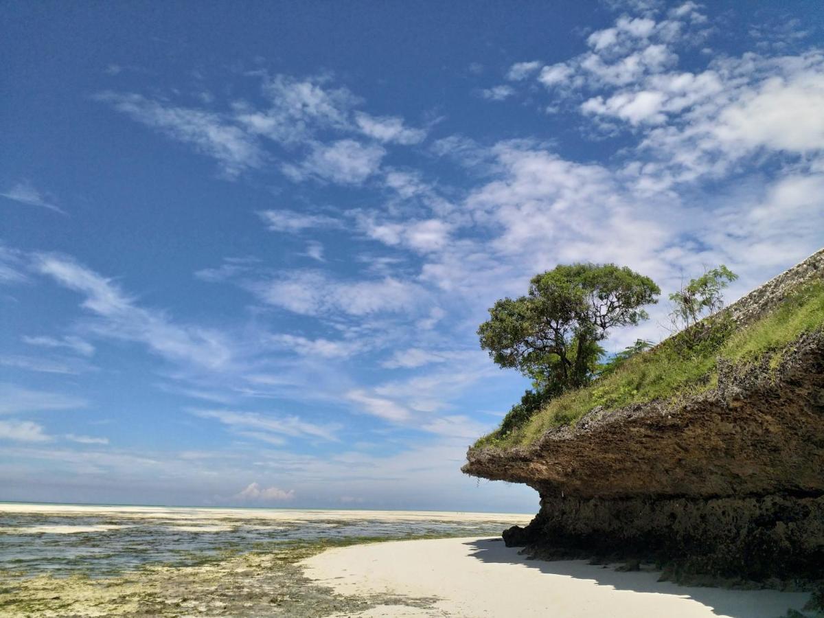 Beachfront Villa Ladha Ya Zanzibar Jambiani  Esterno foto